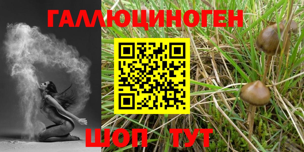 Галлюциногенные грибы Psilocybe  Вход с VPN  магазин продажи наркотиков  Шелехов 