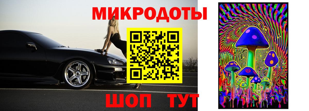 Псилоцибиновые грибы Psilocybine cubensis Шелехов